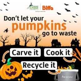 Cannock Chase Residents Can Recycle Pumpkins Through Food Waste Service — Cannock news photo