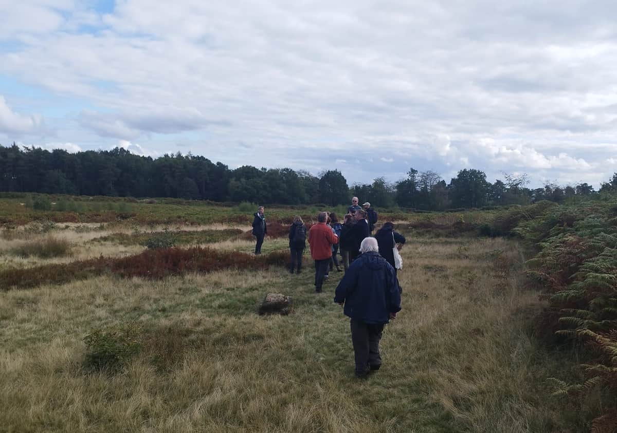 Heathland experts meet, FiPL review published, History Centre opens — Cannock news photo