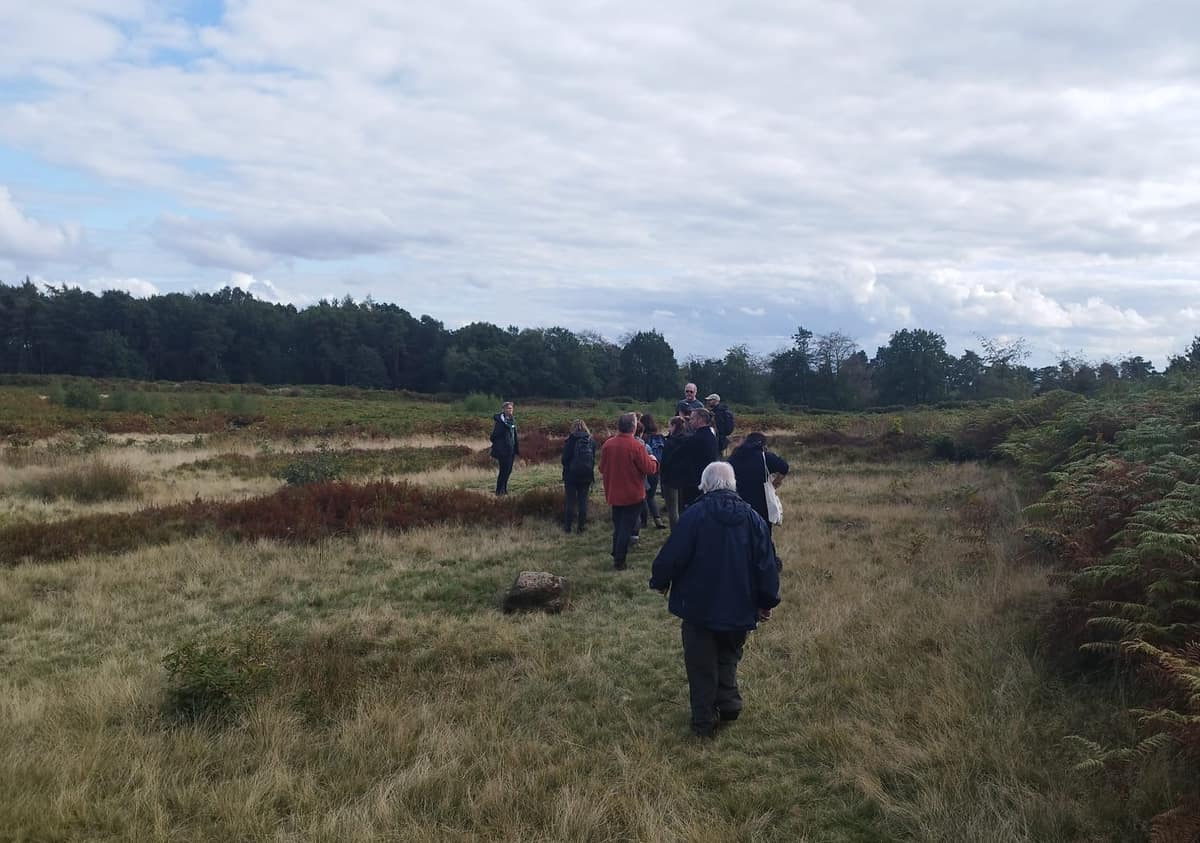 Heathland experts meet, FiPL review published, History Centre opens — Cannock news photo