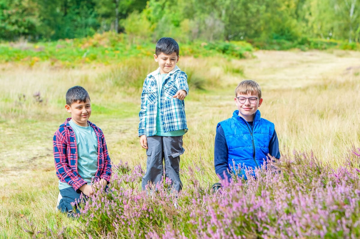 Cannock Chase Volunteers Fair, Team Leader Job and School Sessions — Cannock news photo (Cannock Chase National Landscape)